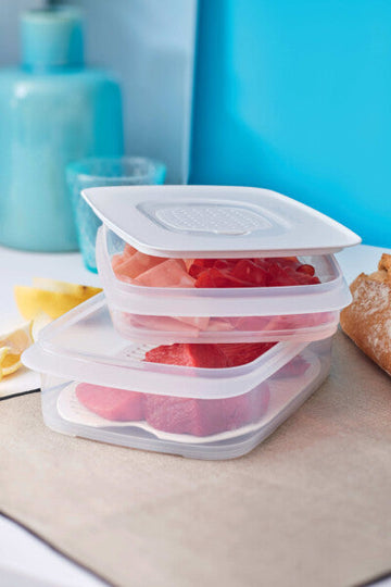 Double fridge Container